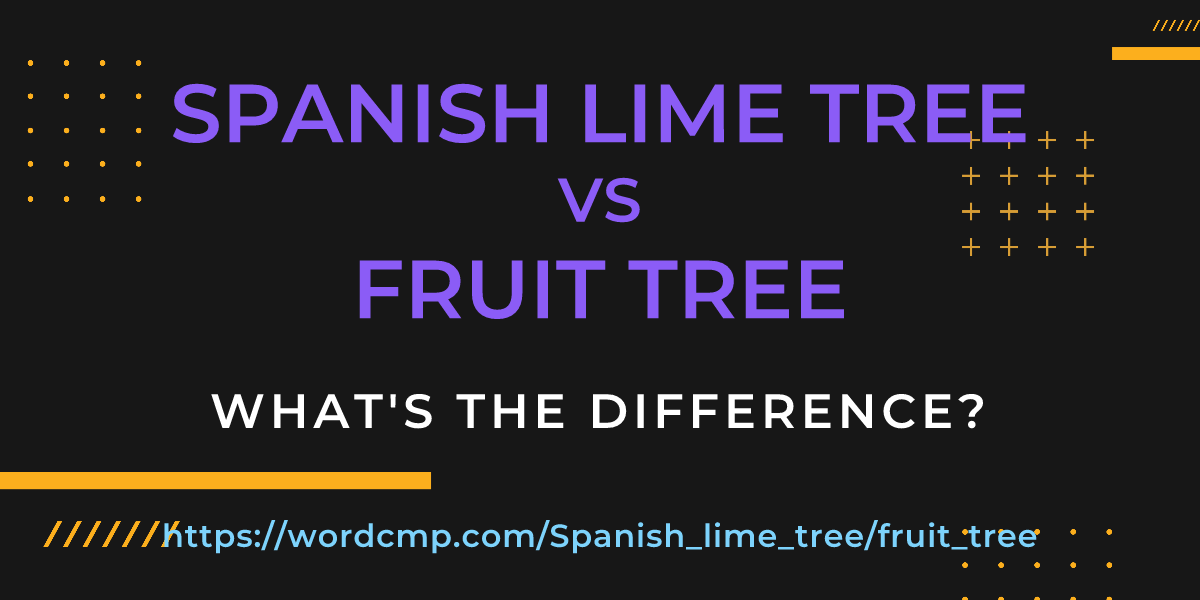 Difference between Spanish lime tree and fruit tree