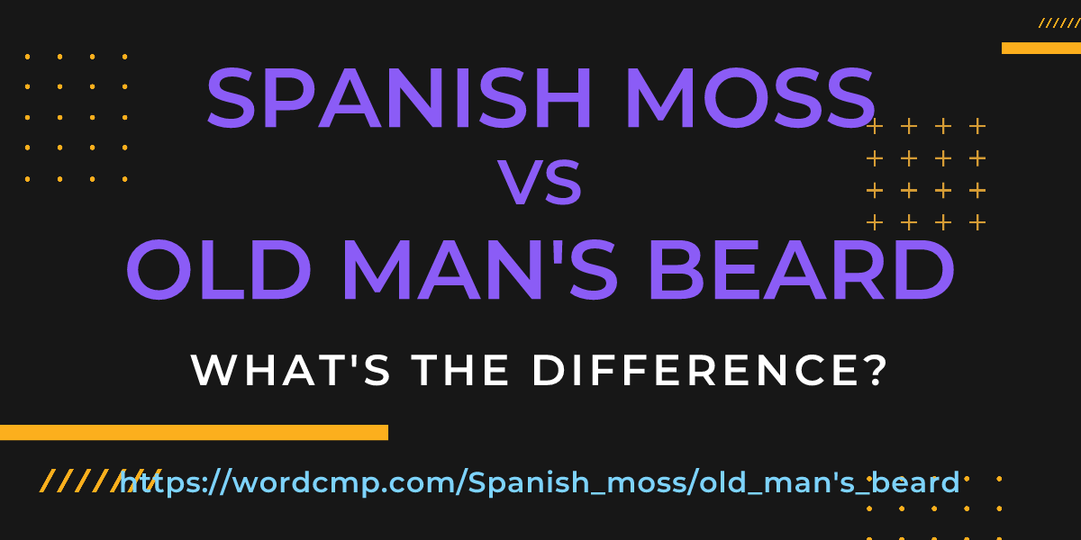 Difference between Spanish moss and old man's beard