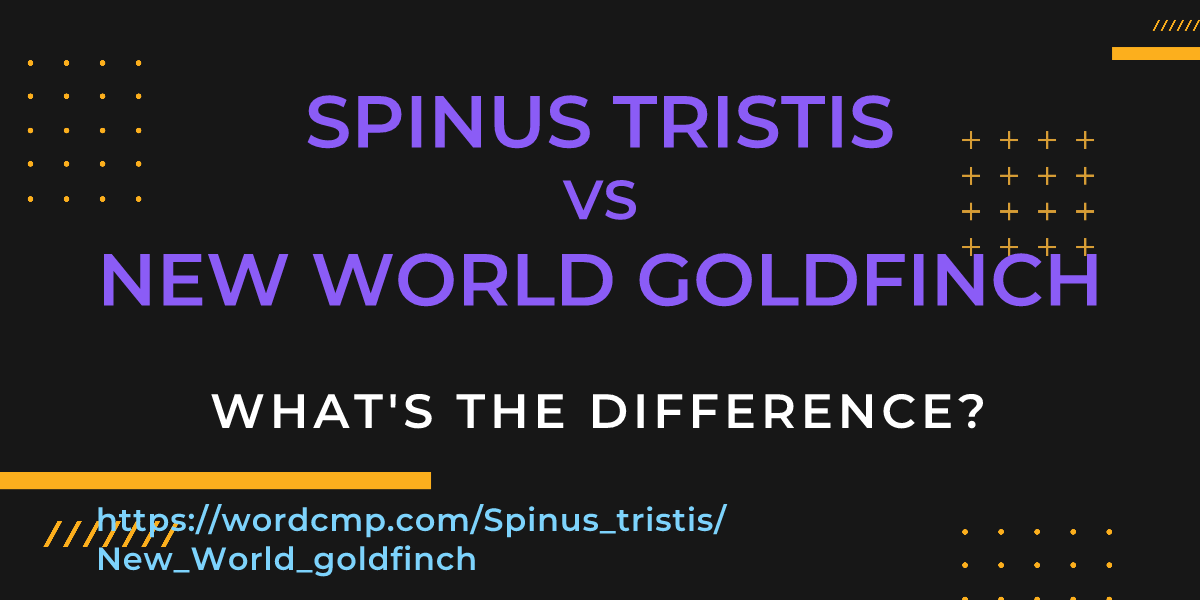Difference between Spinus tristis and New World goldfinch