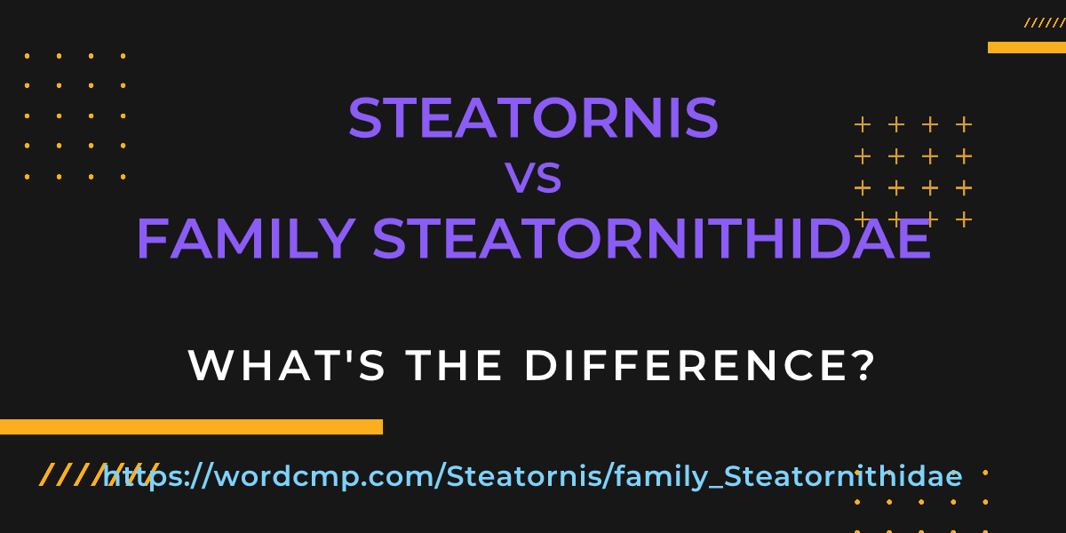Difference between Steatornis and family Steatornithidae