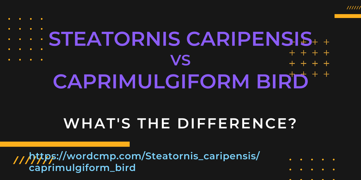 Difference between Steatornis caripensis and caprimulgiform bird
