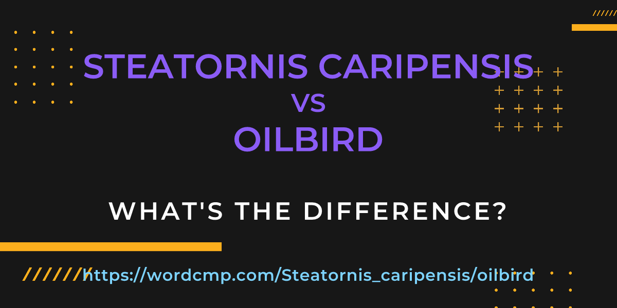 Difference between Steatornis caripensis and oilbird