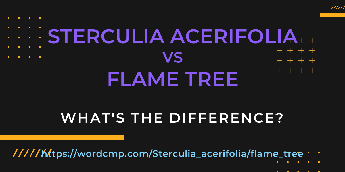 Difference between Sterculia acerifolia and flame tree