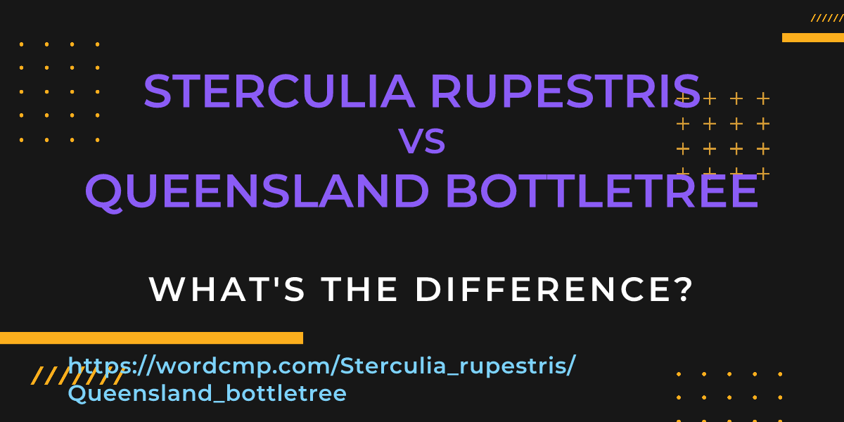 Difference between Sterculia rupestris and Queensland bottletree