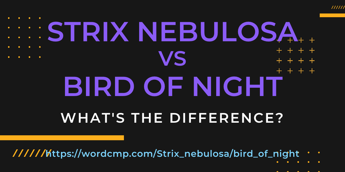 Difference between Strix nebulosa and bird of night