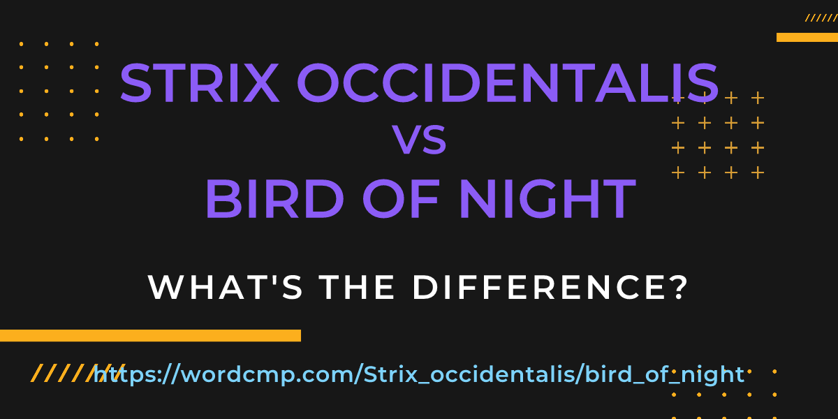 Difference between Strix occidentalis and bird of night