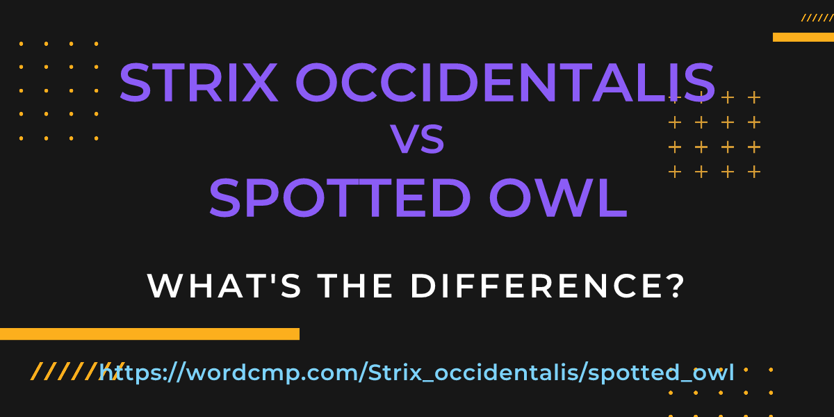 Difference between Strix occidentalis and spotted owl