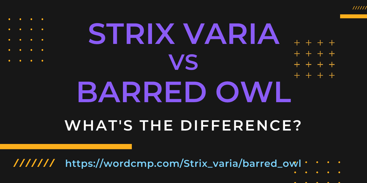 Difference between Strix varia and barred owl