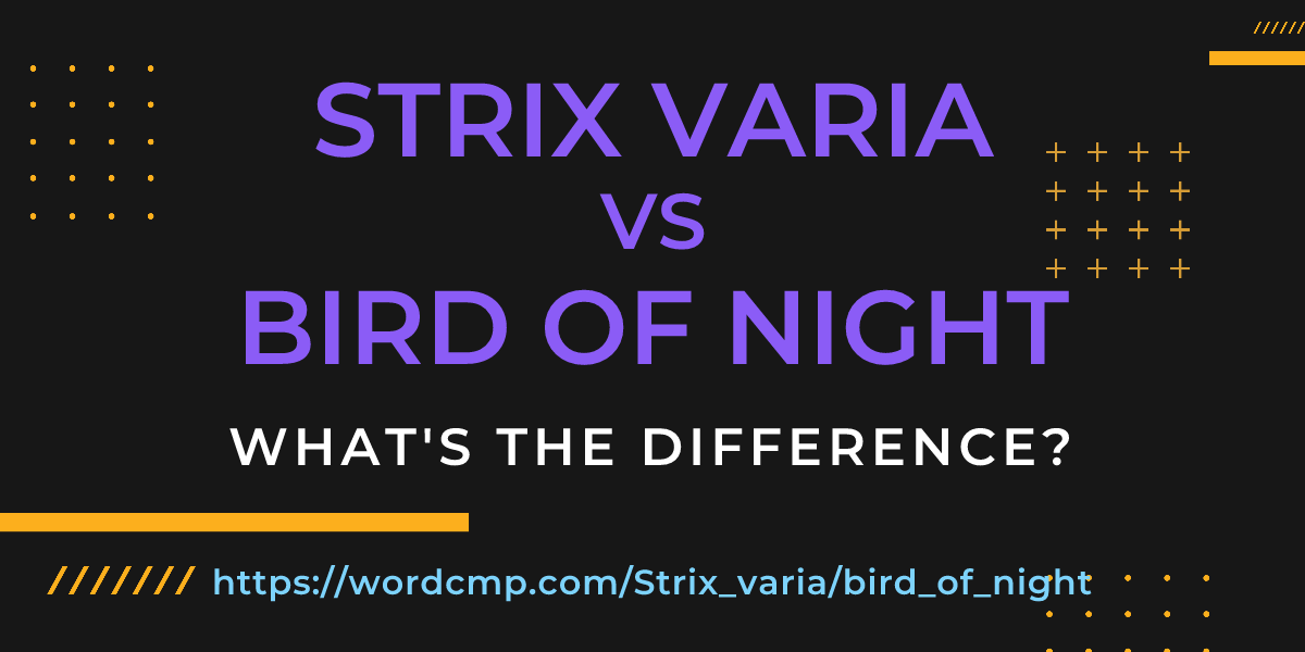 Difference between Strix varia and bird of night