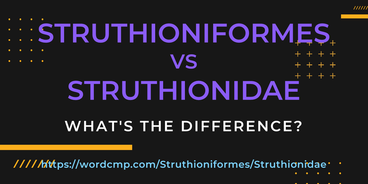 Difference between Struthioniformes and Struthionidae