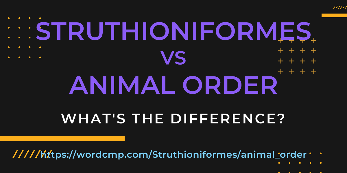 Difference between Struthioniformes and animal order