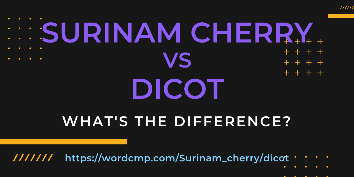 Difference between Surinam cherry and dicot