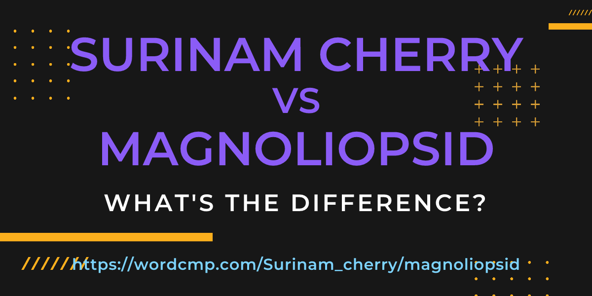 Difference between Surinam cherry and magnoliopsid