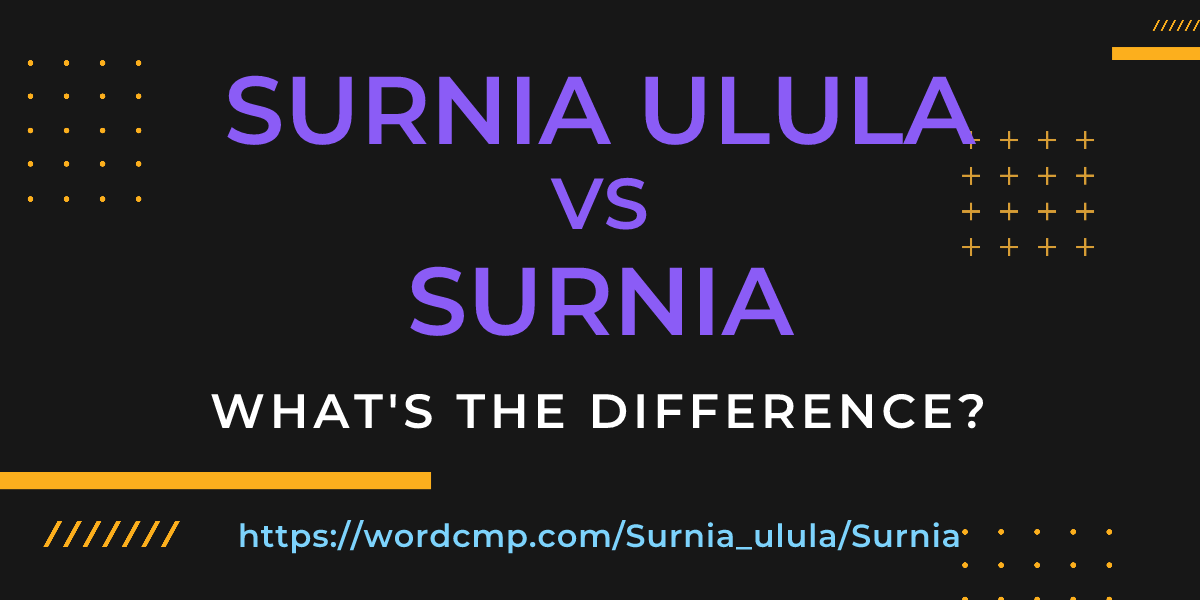 Difference between Surnia ulula and Surnia