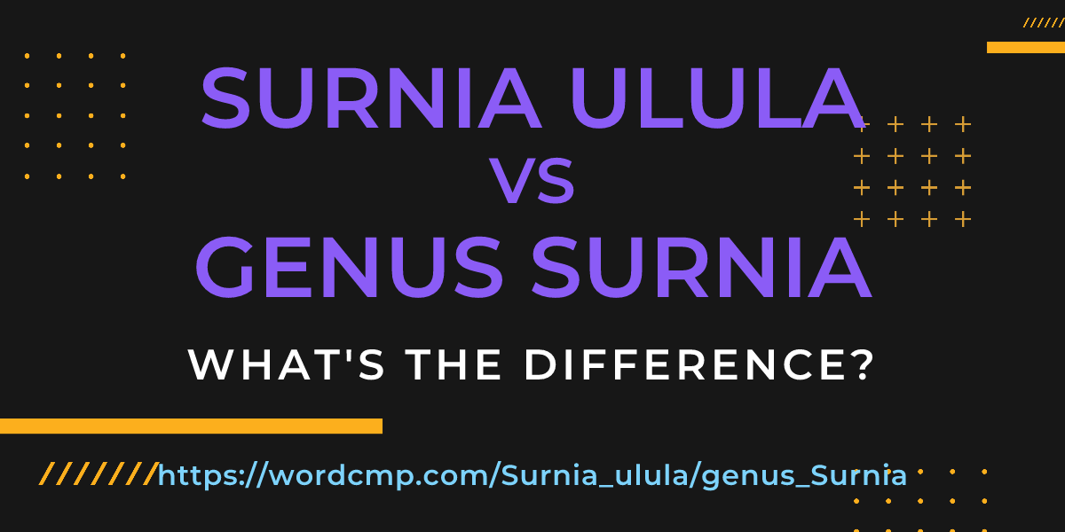 Difference between Surnia ulula and genus Surnia