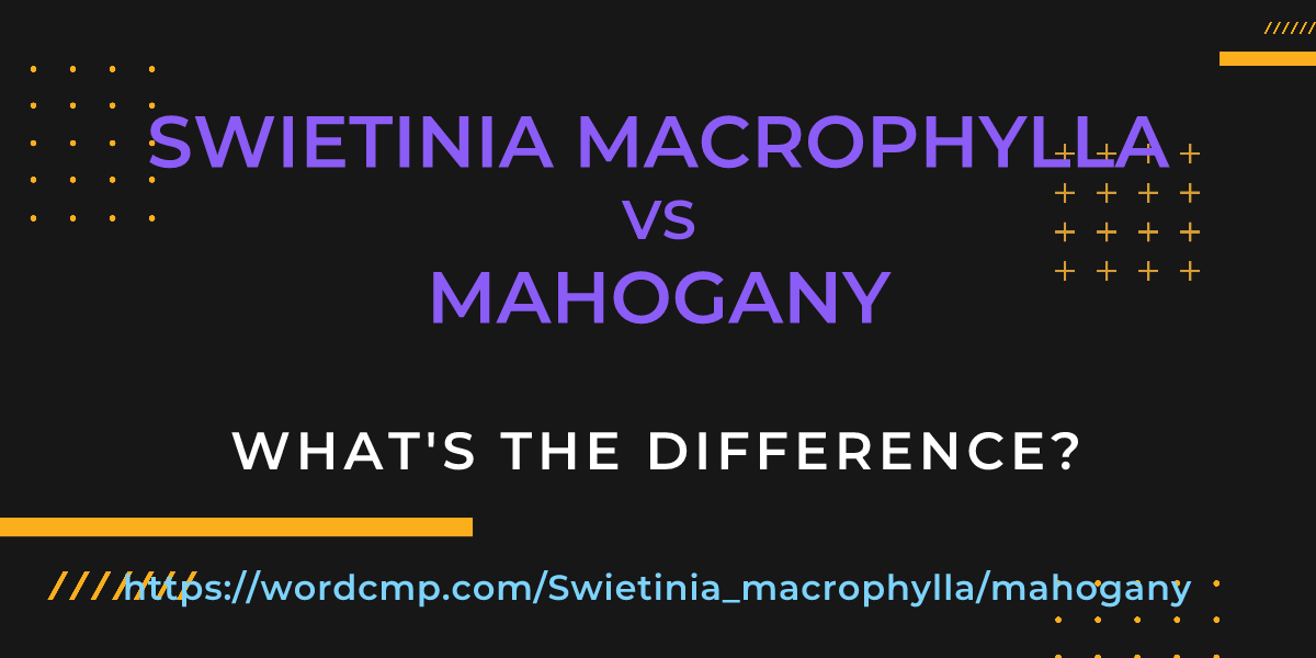 Difference between Swietinia macrophylla and mahogany