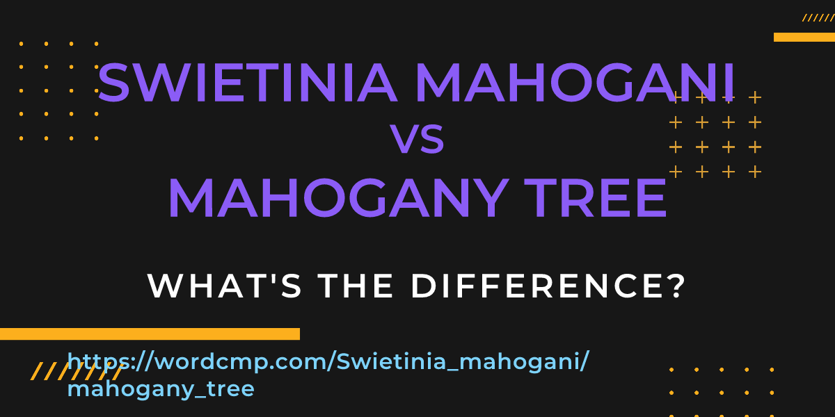 Difference between Swietinia mahogani and mahogany tree