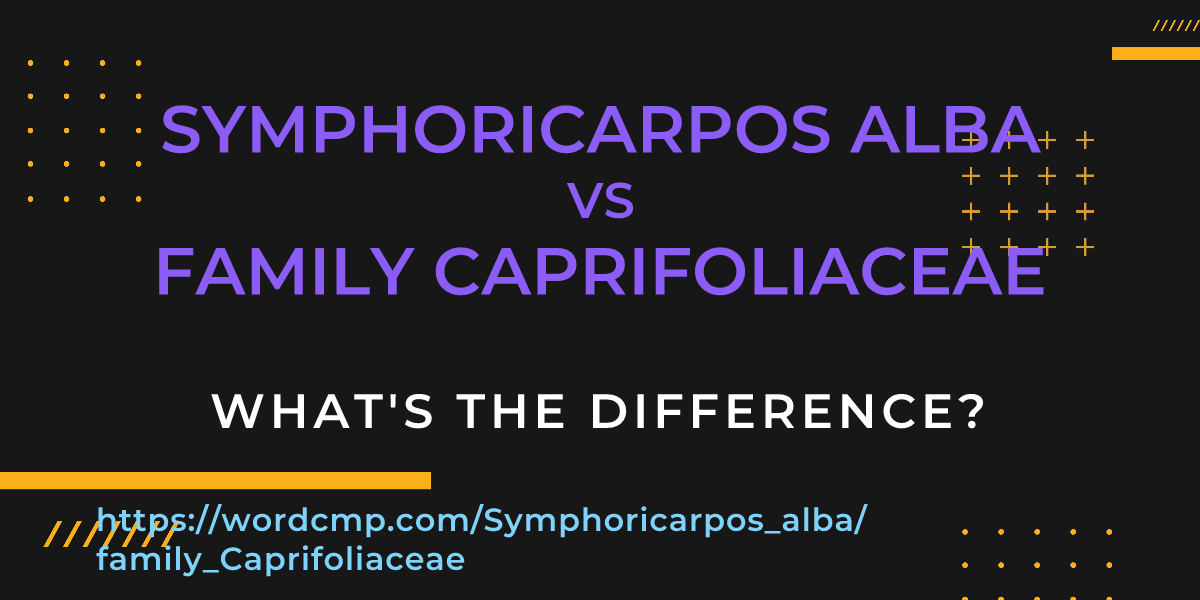 Difference between Symphoricarpos alba and family Caprifoliaceae