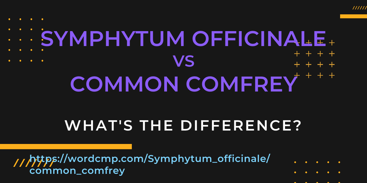 Difference between Symphytum officinale and common comfrey