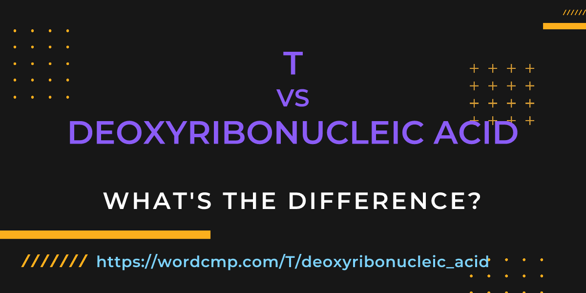 Difference between T and deoxyribonucleic acid