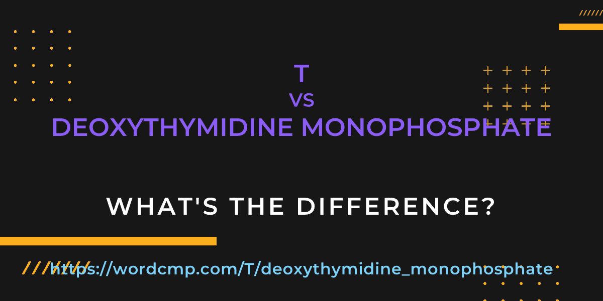 Difference between T and deoxythymidine monophosphate