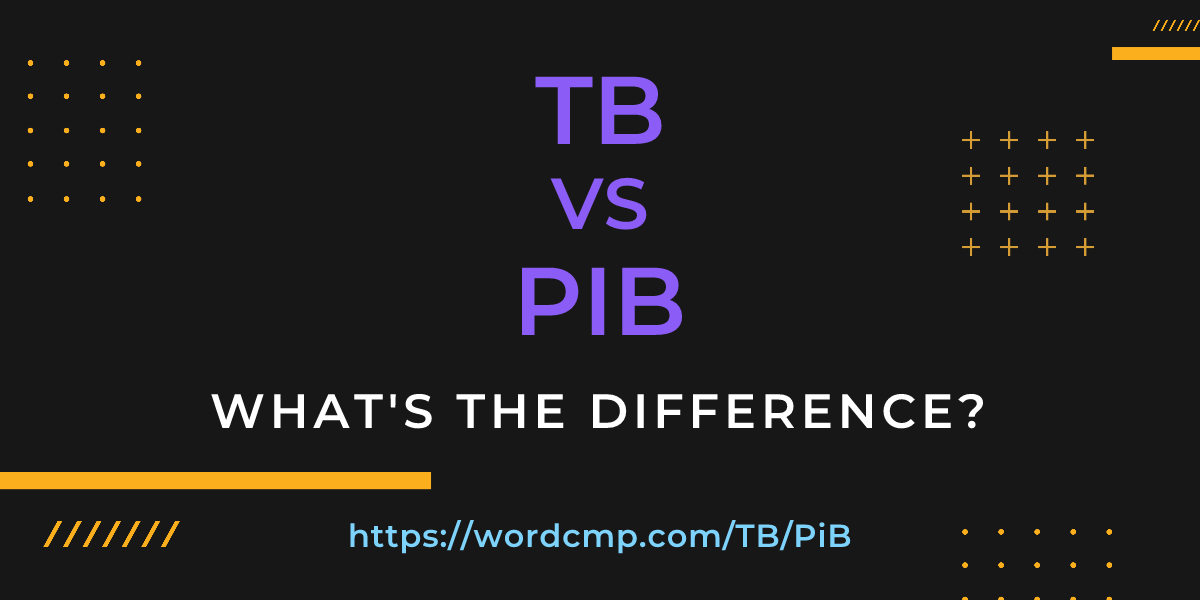 Difference between TB and PiB