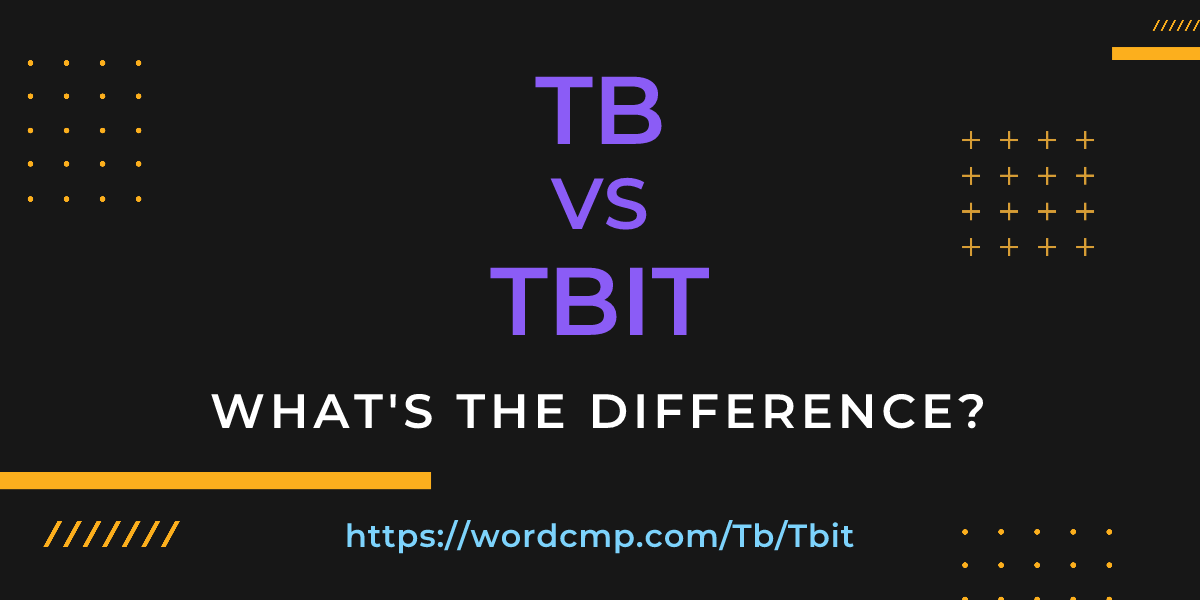Difference between Tb and Tbit