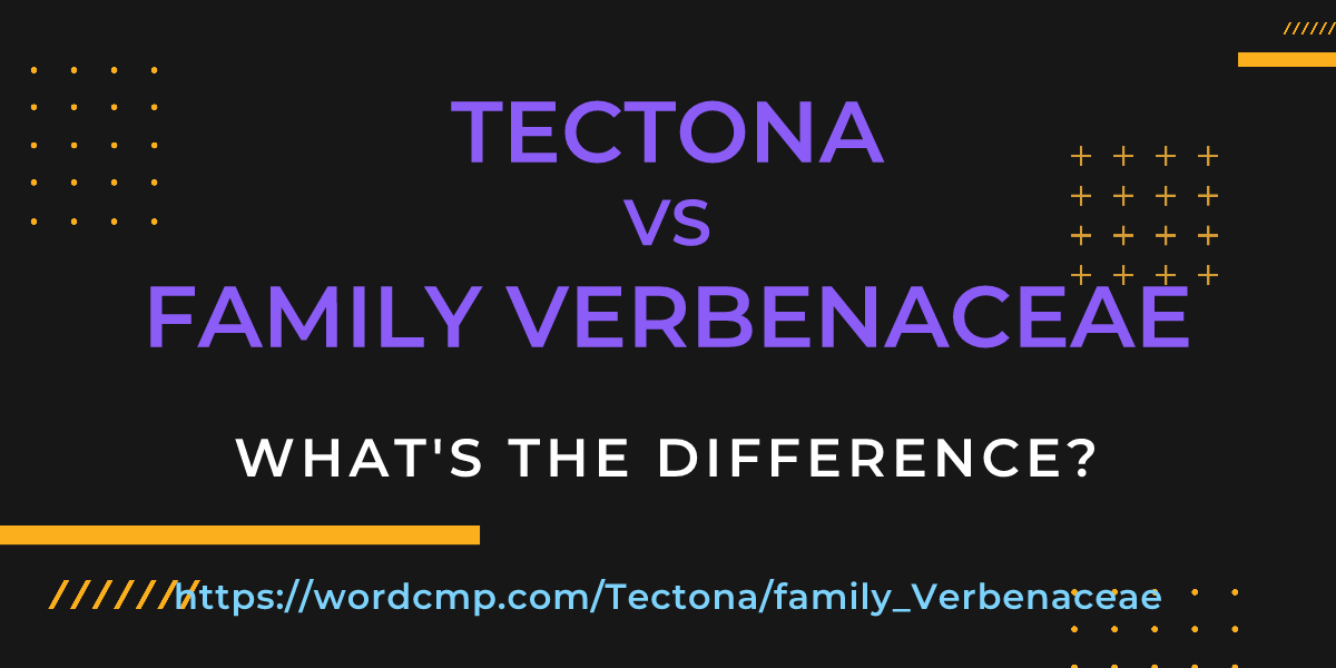 Difference between Tectona and family Verbenaceae