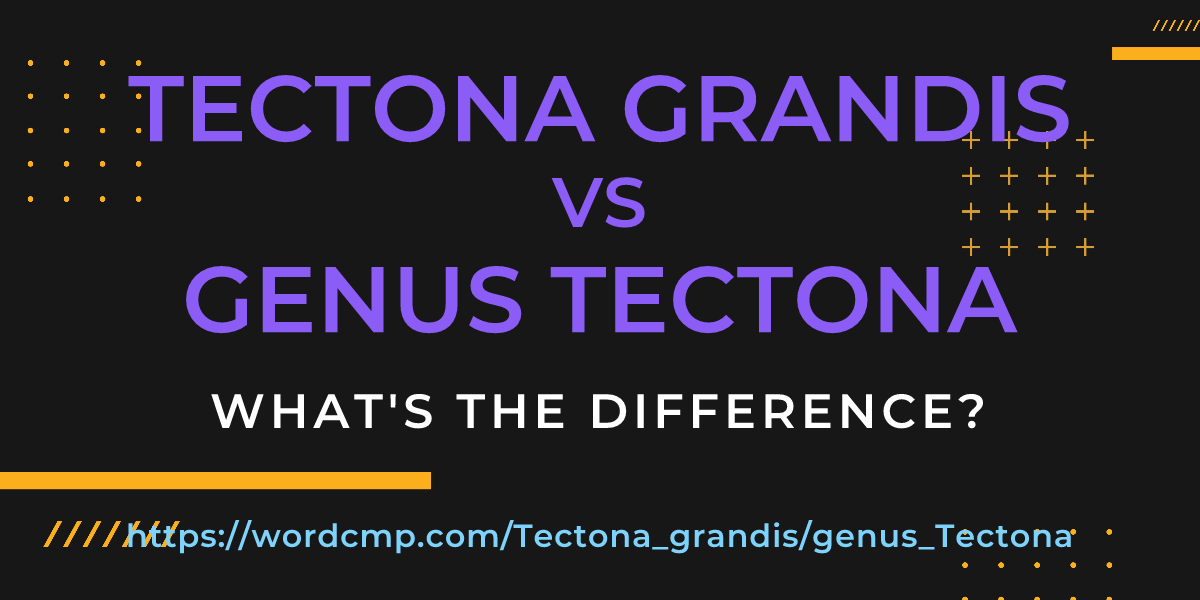Difference between Tectona grandis and genus Tectona
