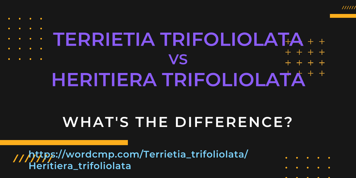Difference between Terrietia trifoliolata and Heritiera trifoliolata