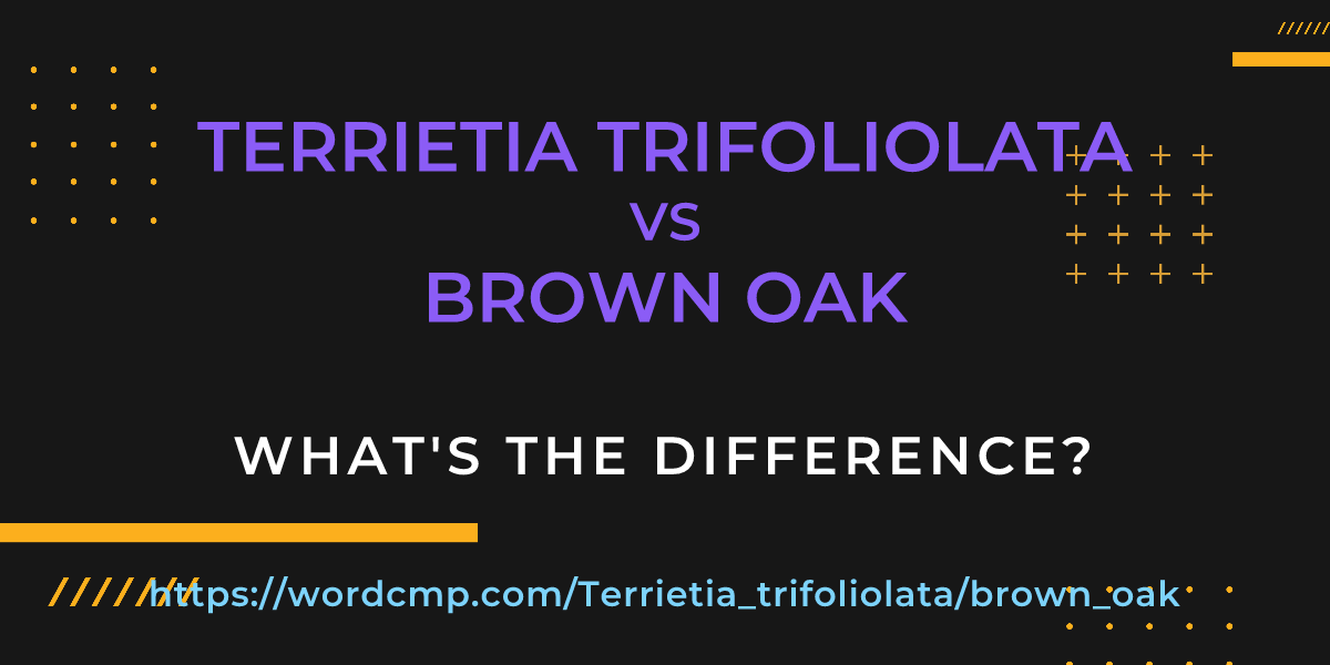 Difference between Terrietia trifoliolata and brown oak