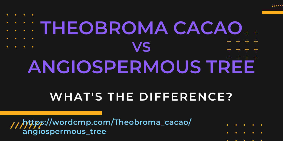 Difference between Theobroma cacao and angiospermous tree