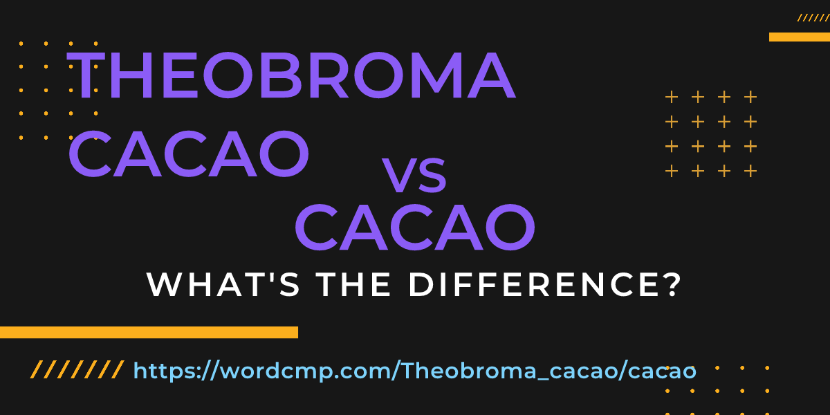 Difference between Theobroma cacao and cacao