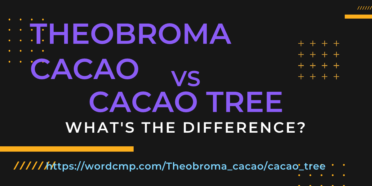Difference between Theobroma cacao and cacao tree