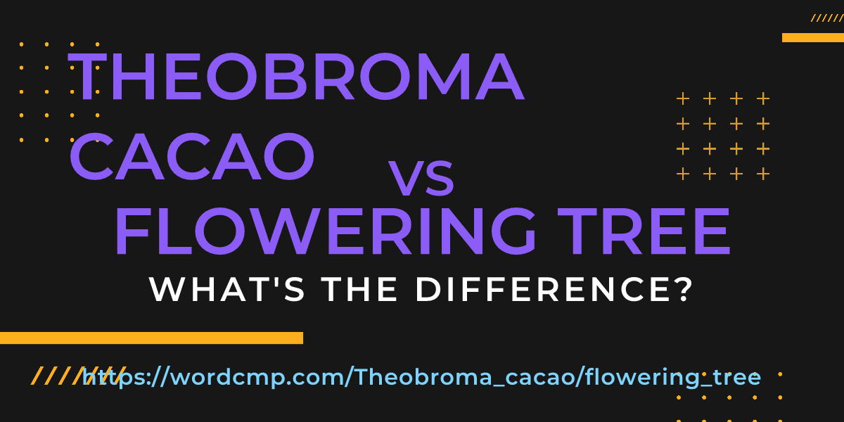 Difference between Theobroma cacao and flowering tree