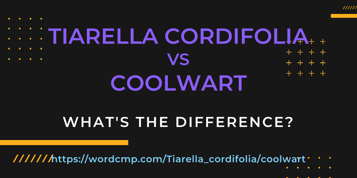 Difference between Tiarella cordifolia and coolwart