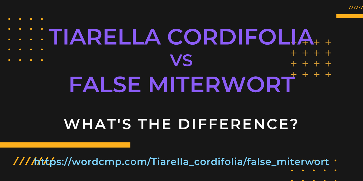 Difference between Tiarella cordifolia and false miterwort