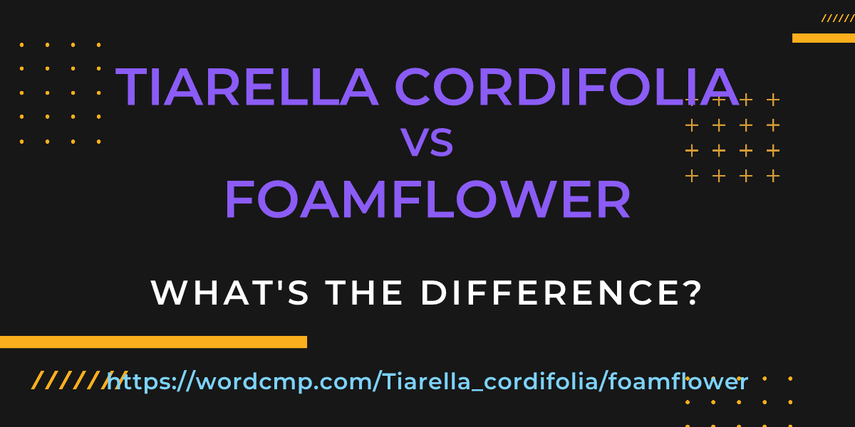Difference between Tiarella cordifolia and foamflower