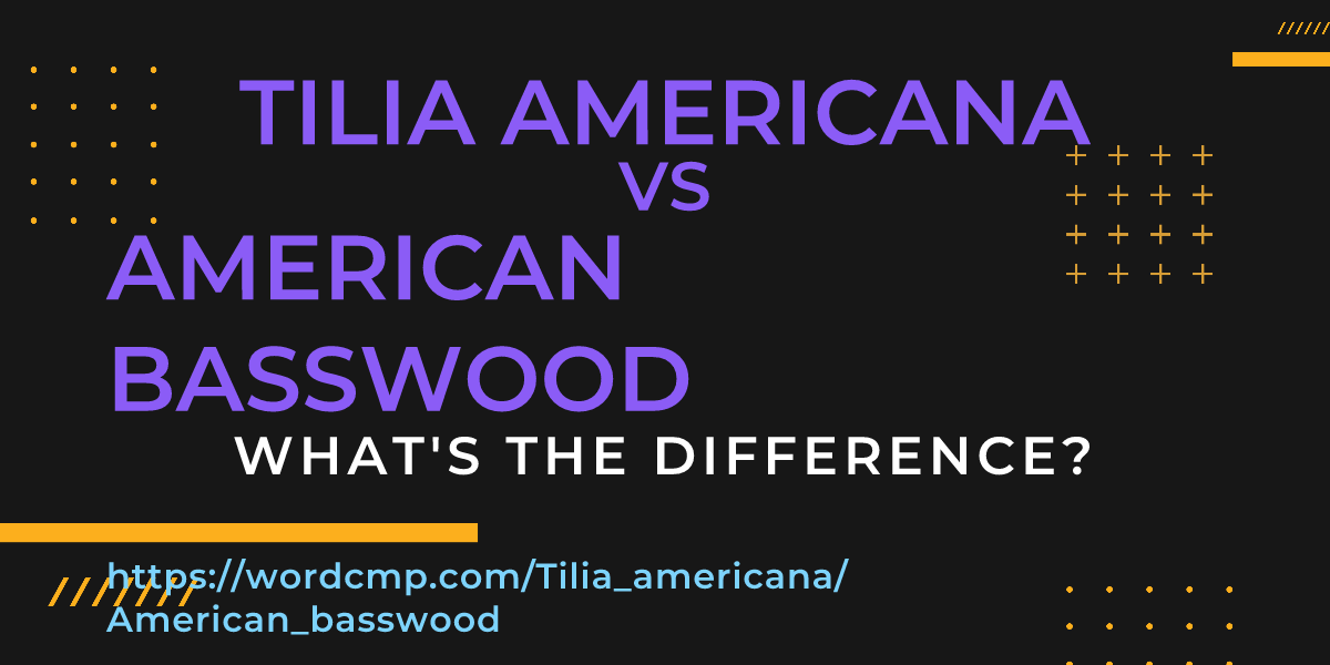Difference between Tilia americana and American basswood