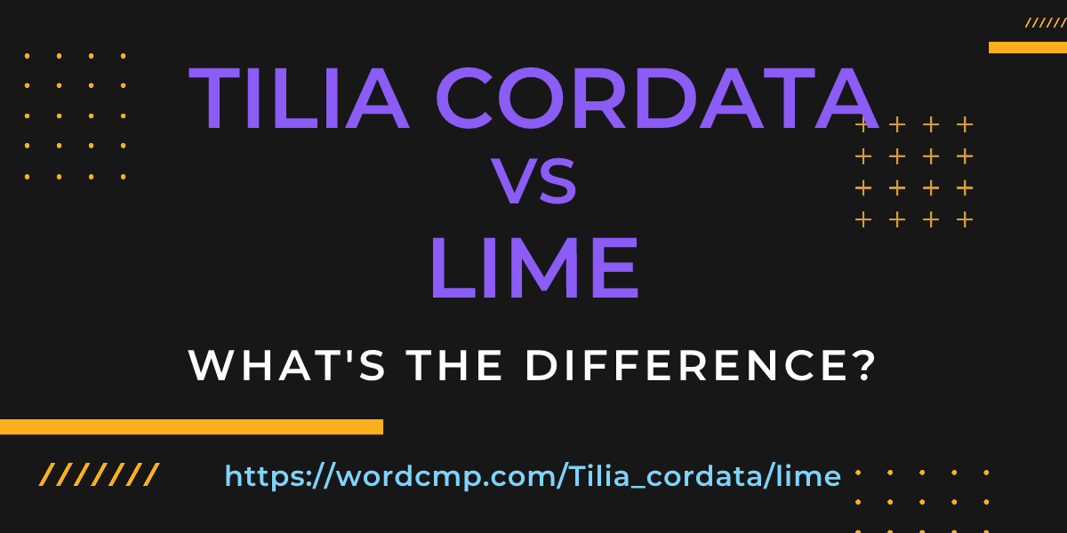 Difference between Tilia cordata and lime
