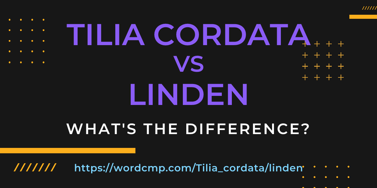 Difference between Tilia cordata and linden