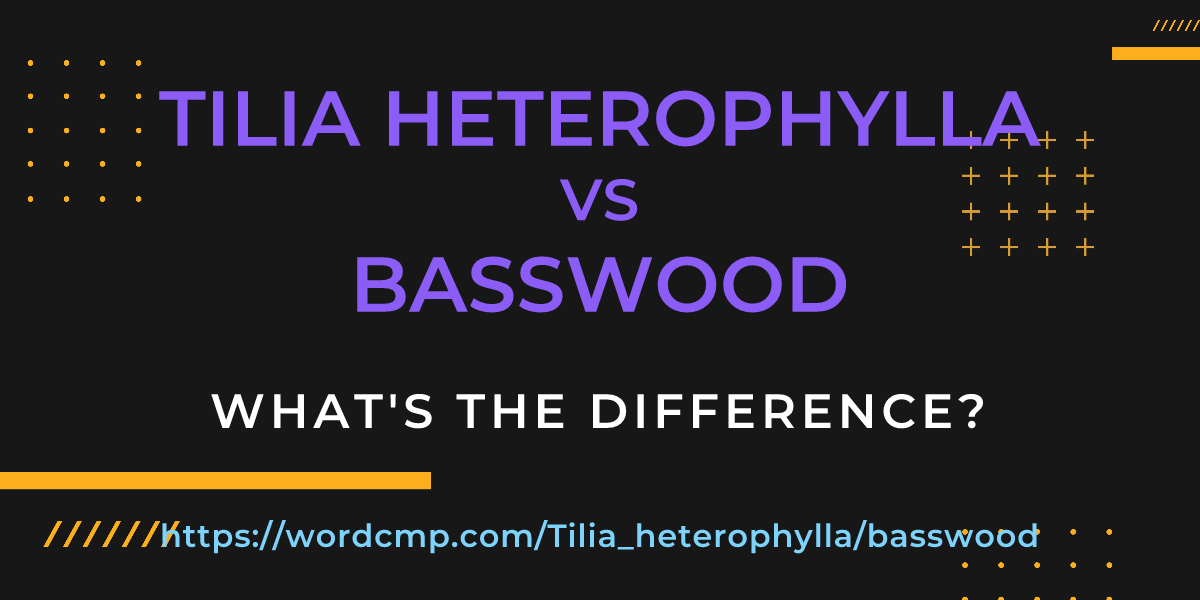 Difference between Tilia heterophylla and basswood
