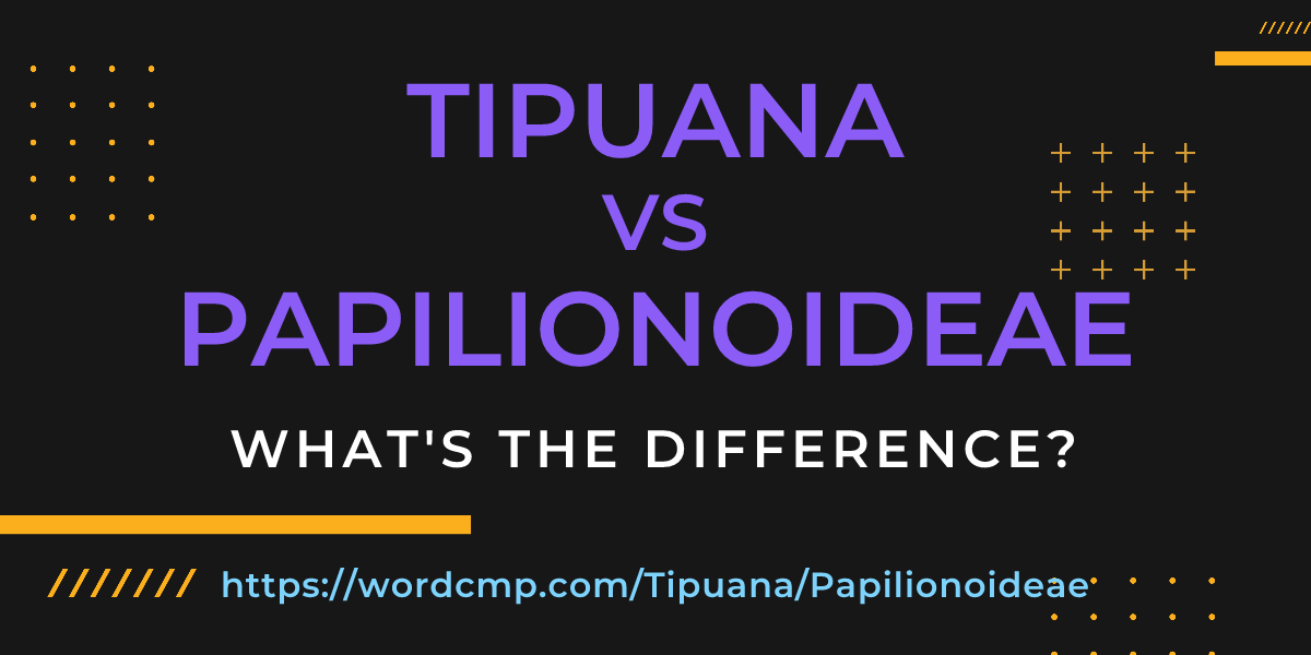 Difference between Tipuana and Papilionoideae
