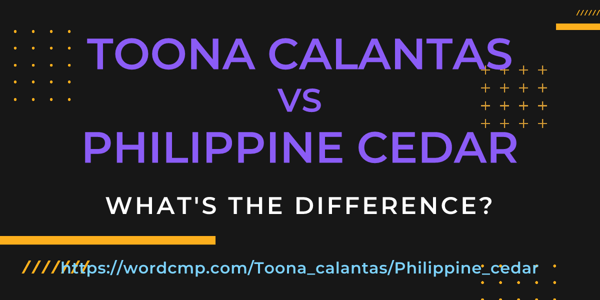 Difference between Toona calantas and Philippine cedar