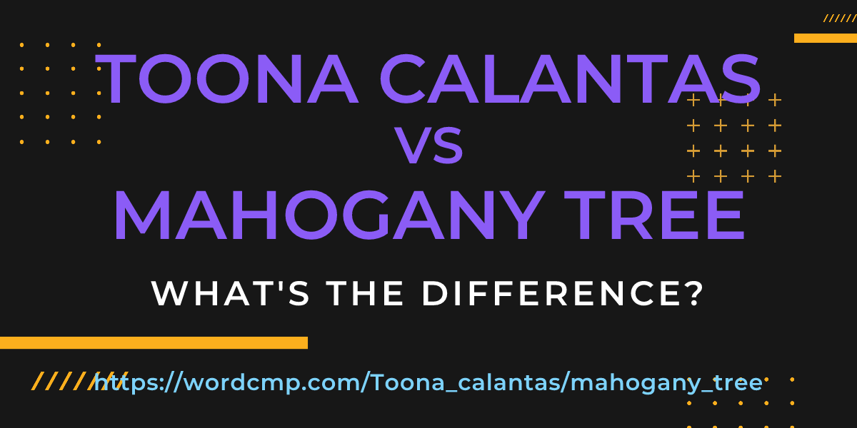 Difference between Toona calantas and mahogany tree