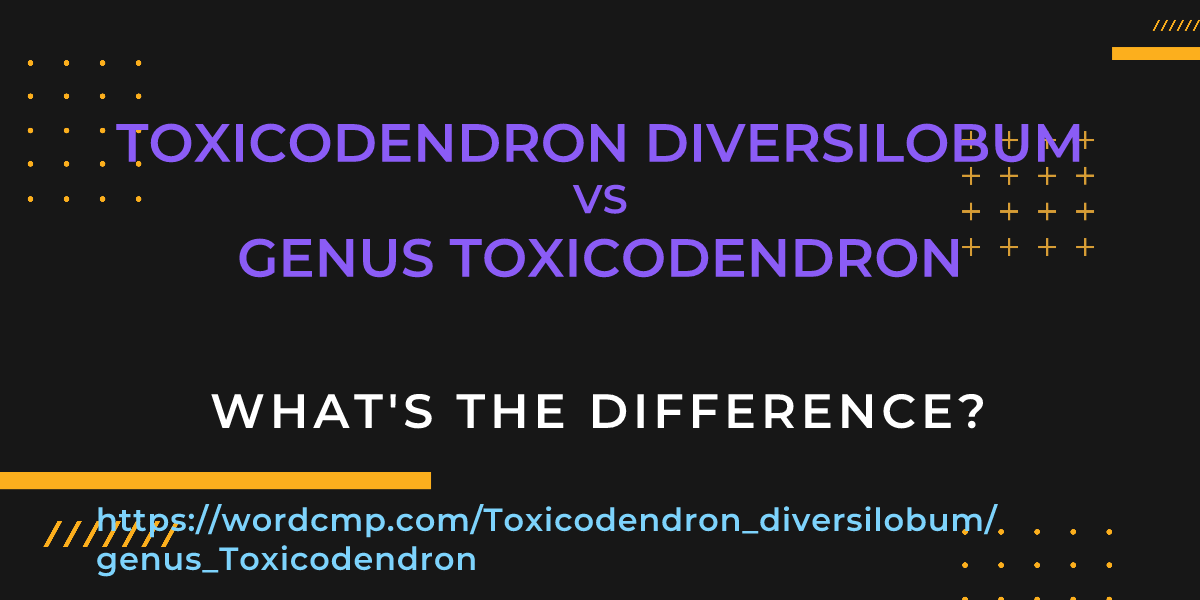 Difference between Toxicodendron diversilobum and genus Toxicodendron