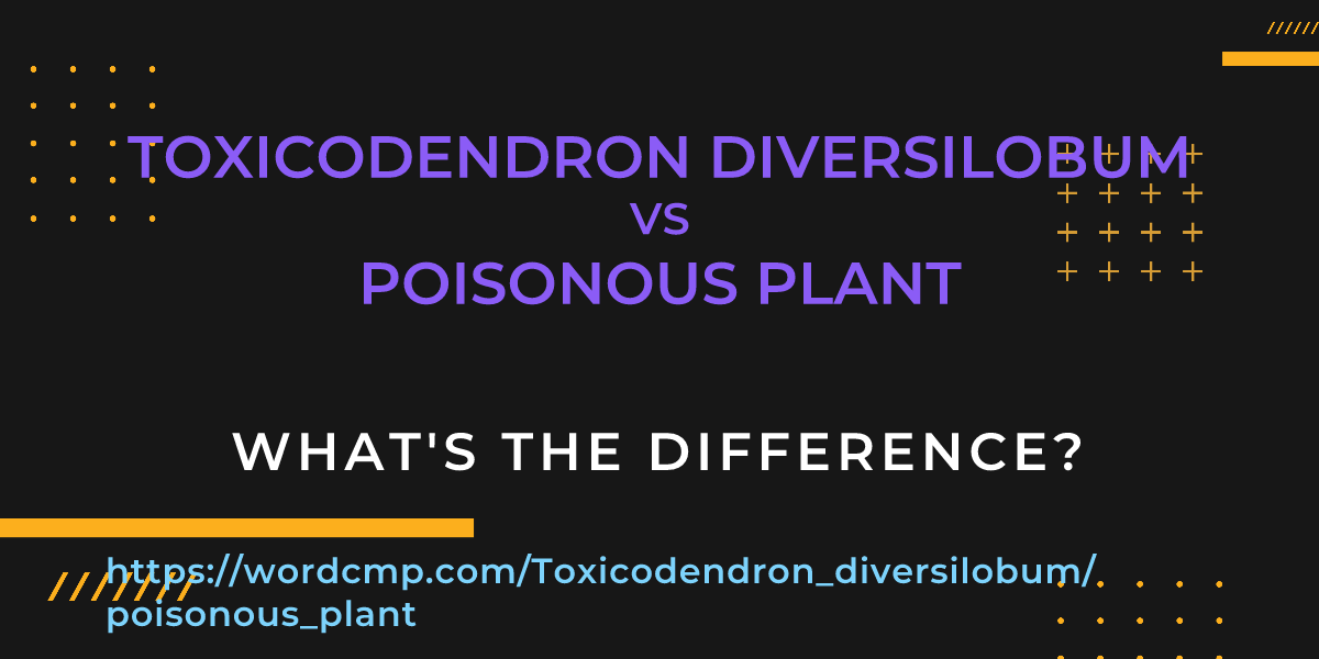 Difference between Toxicodendron diversilobum and poisonous plant