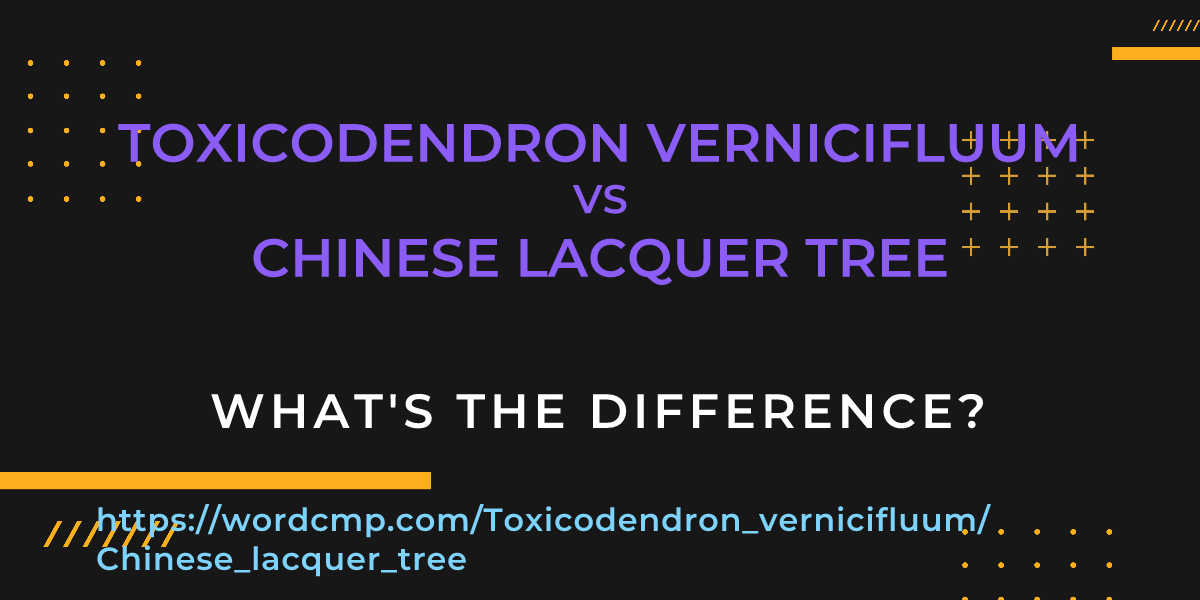 Difference between Toxicodendron vernicifluum and Chinese lacquer tree