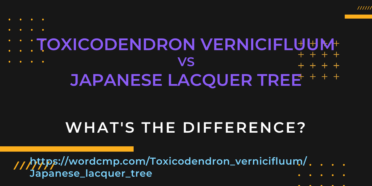 Difference between Toxicodendron vernicifluum and Japanese lacquer tree