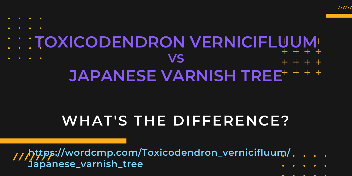Difference between Toxicodendron vernicifluum and Japanese varnish tree